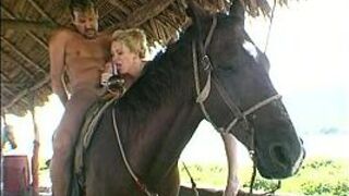 Anal back riding - porn video