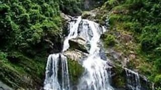 CARRIBEAN QUEEN - porn video