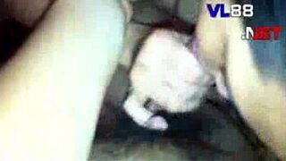 fly high - porn video